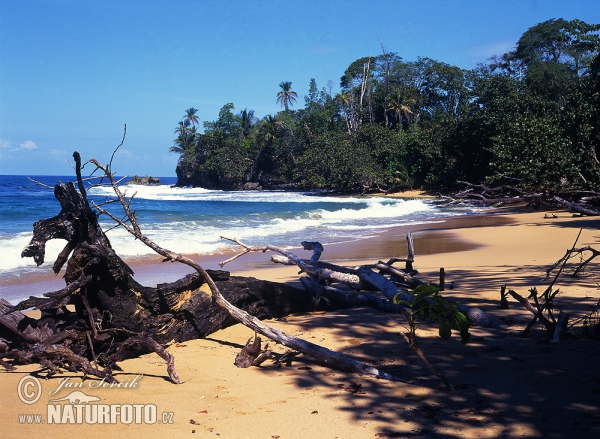 Colón island (PA)