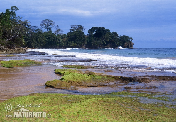 Colón island (PA)