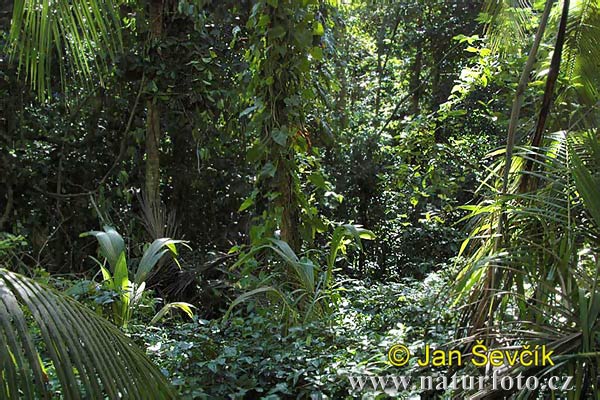 Costa Rica