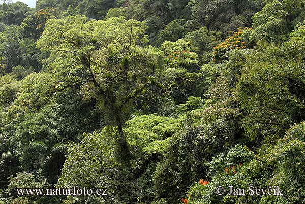 Costa Rica