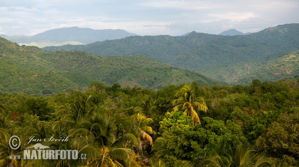 Cuba