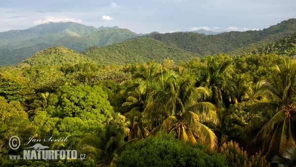 Cuba