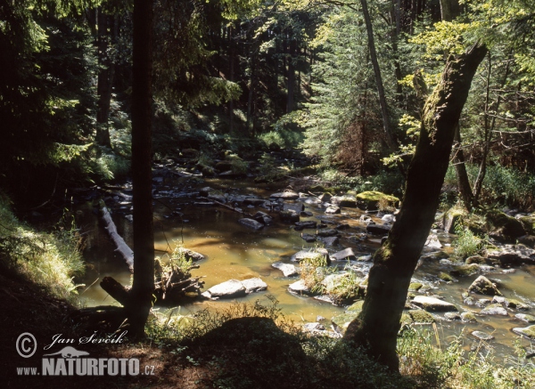 Dračice River (Tre)