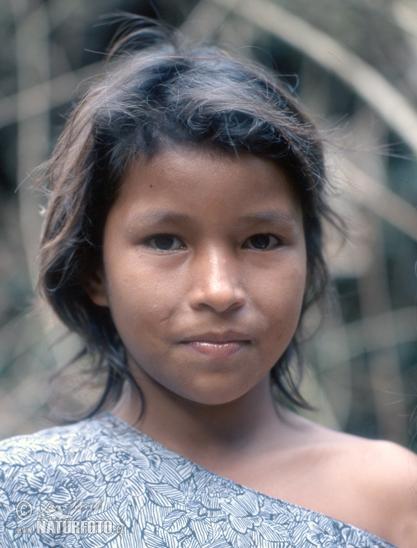 Embera indian child (People)