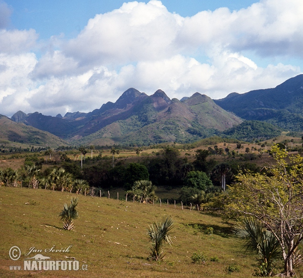 Escambray mountains (C)