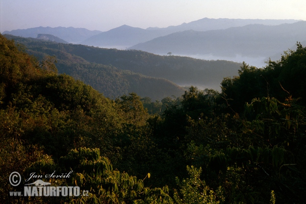 Escambray mountains (C)