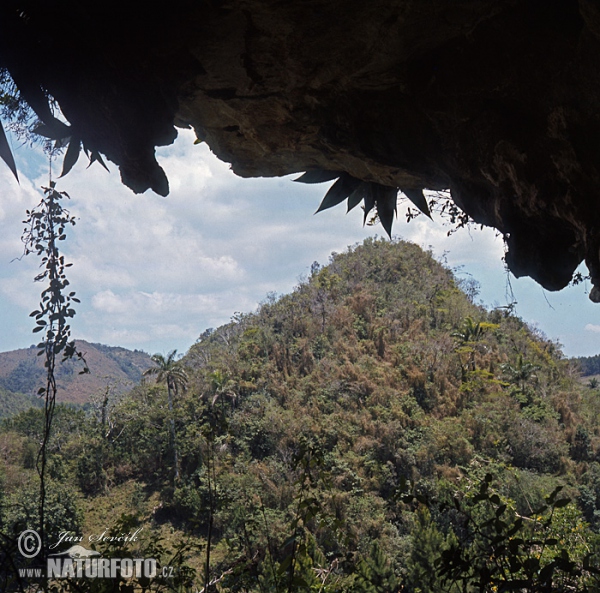 Escambray mountains (C)