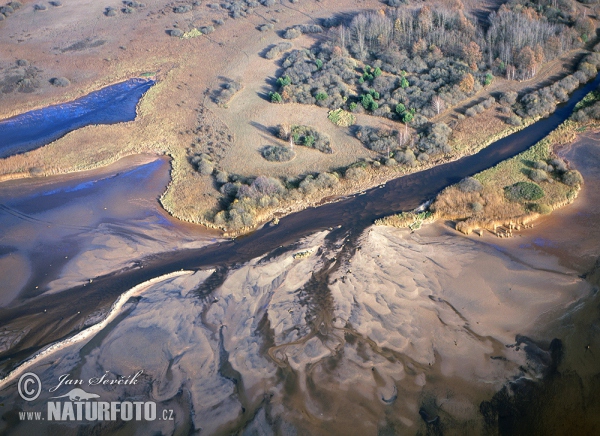 Estuary of the Luznice River (AIR)