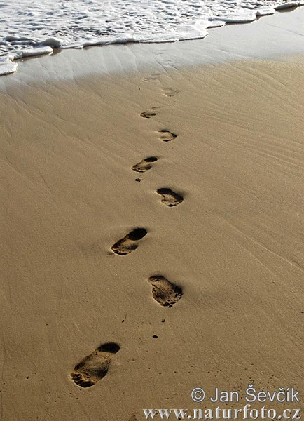 Footprints