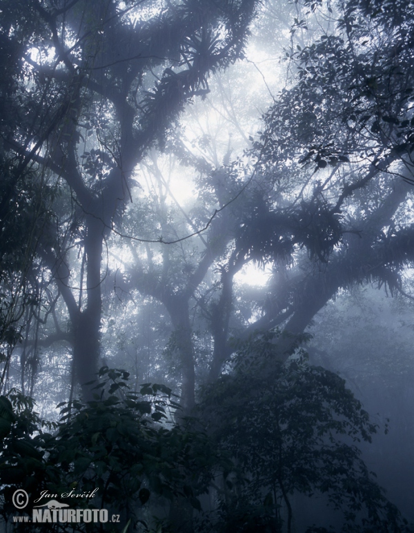 Henri Pittier National Park (VA)