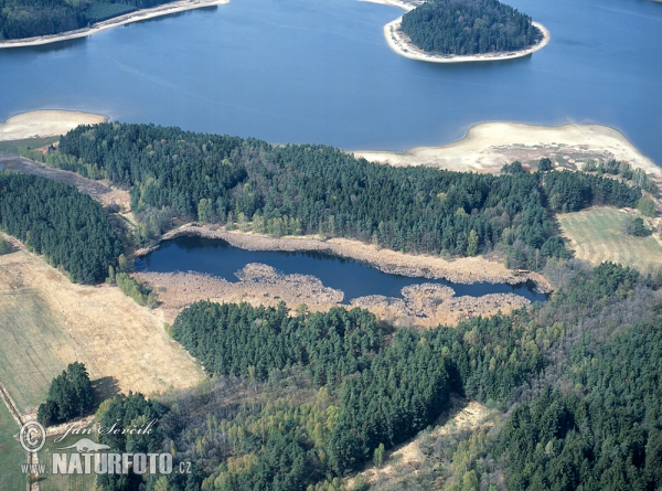 Holná Fishpond (AIR)