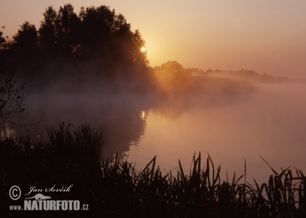 Horusický Fishpond (Tre)