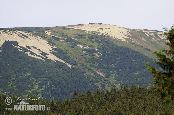 Krkonoše mountains (Krk)