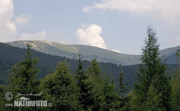 Krkonoše mountains (Krk)