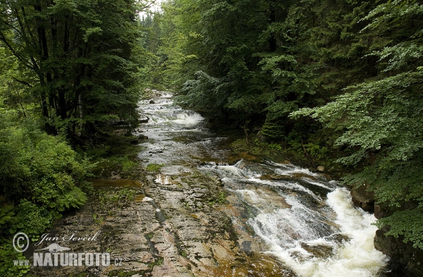 Krkonoše mountains (Krk)