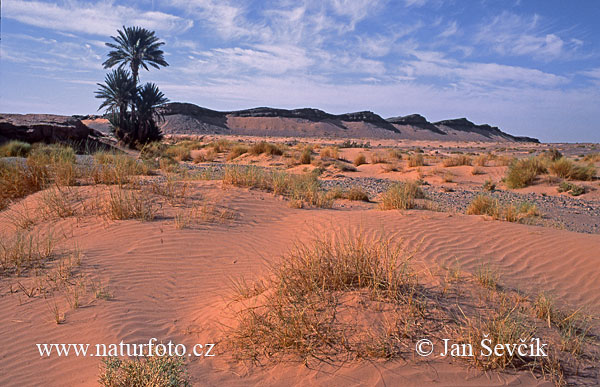 Maroc