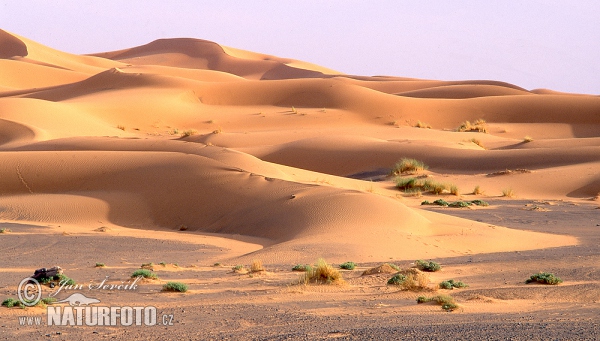 Marocco (MA)