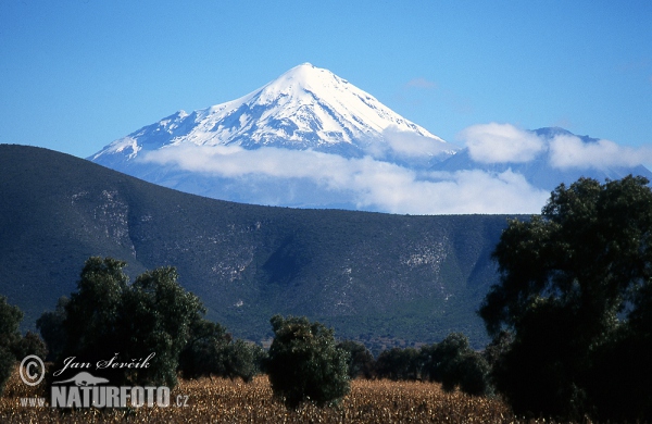 Mexikó