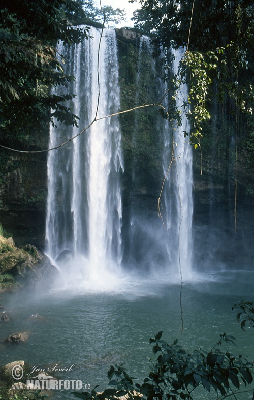 Misol-Ha waterfall (MEX)