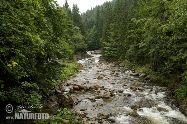 Montanhas dos Gigantes