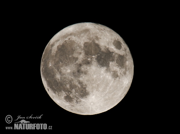 Moon - Full moon (Luna 2)