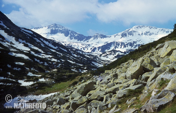 National park Pirin (BG)