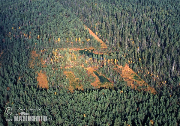 Nature rezerve Červené blato (AIR)