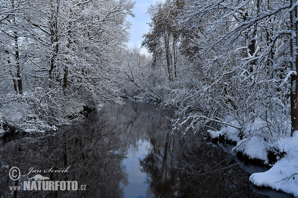 Nová řeka river (Nova reka)