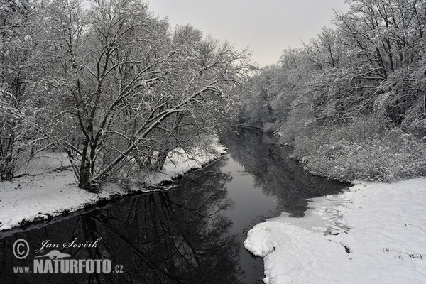 Nová řeka river (Nova reka)