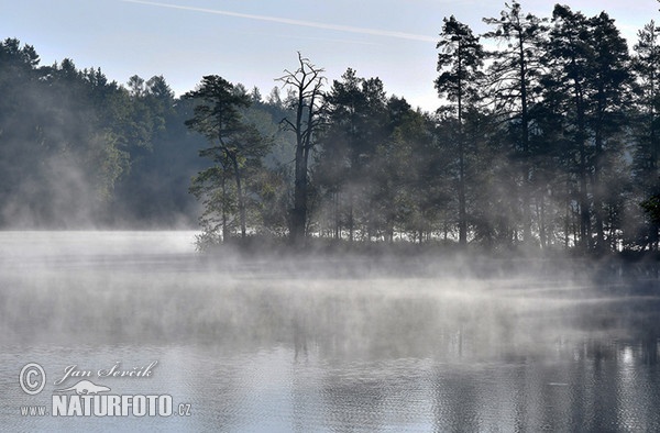 Nové Jezero fishpond (Rybnik Nove Jezero)