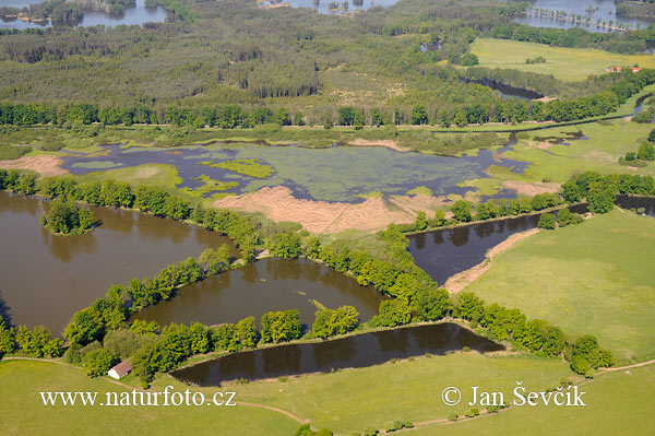 Novořecké swamps, Nature reserve (AIR)