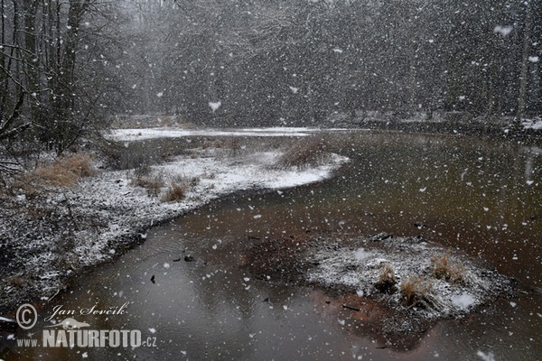 Old river Snowstorm1 (Snowstorm)