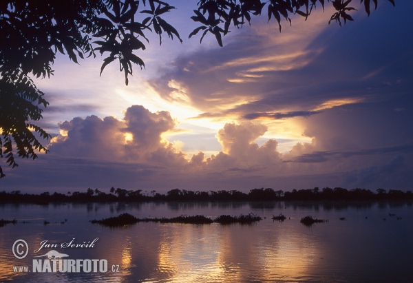 Orinoco River Delta (VA)