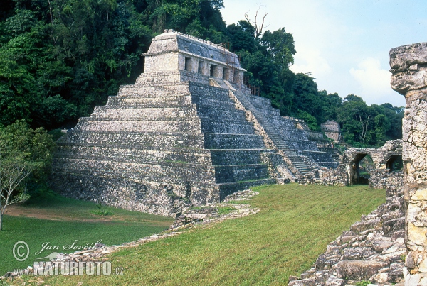 Palenque mayan ruins (MEX)