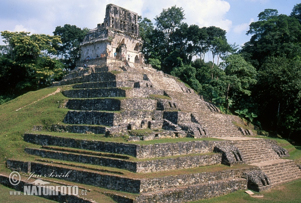 Palenque mayan ruins (MEX)