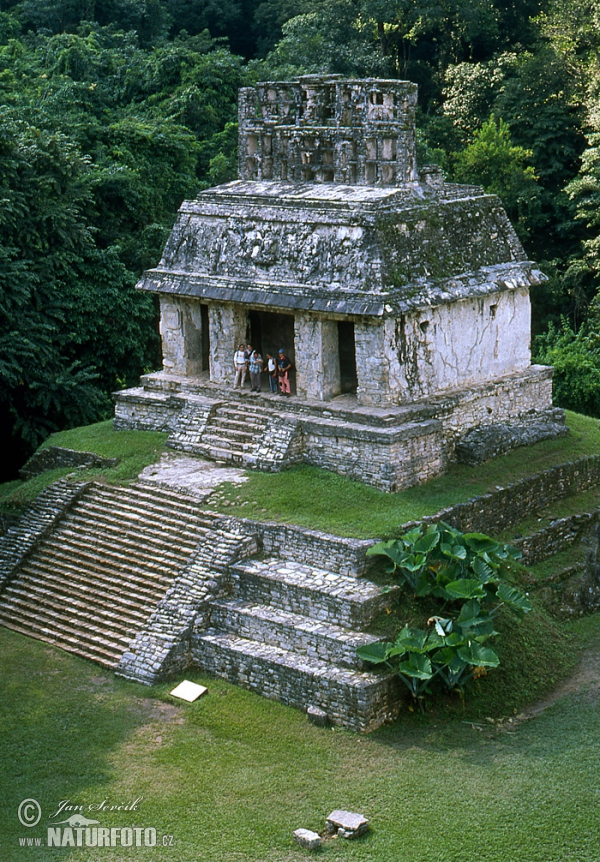 Palenque mayan ruins (MEX)