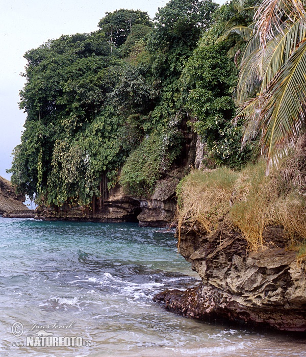 Panamá