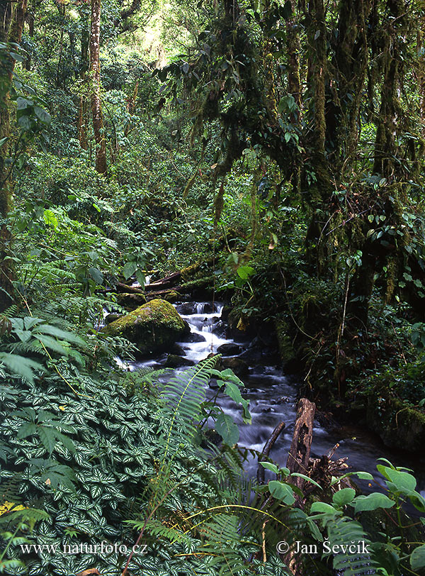 Panamá