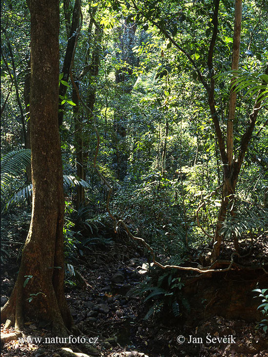 Panama