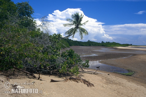 Peninsula de Paria coast (VA)