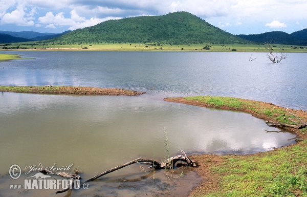 Pilanesberg NP, lake Mankwe (ZA)