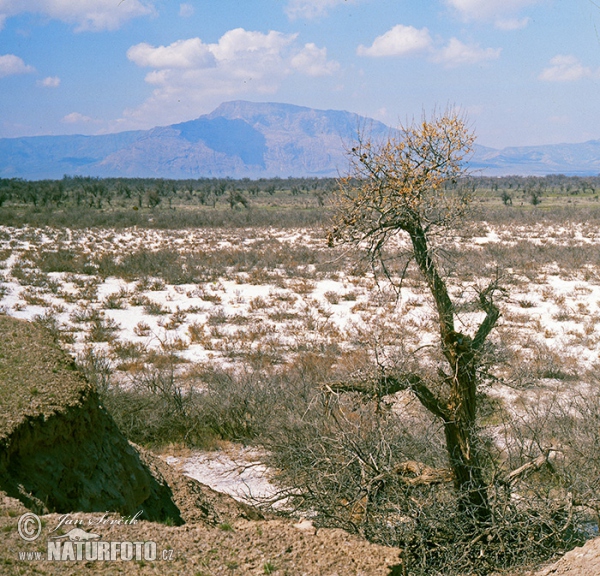 Reservation, Tigrovaja balka (TAD)