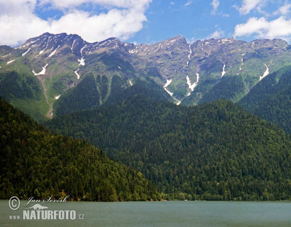 Ritsa lake (Abchazia)