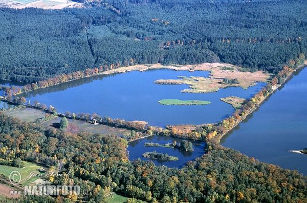 Rod Fishpond (AIR)