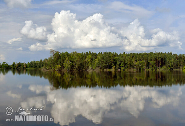 Rybník Nový Hospodář fishpond (Rybnik Rybnik Novy Hospodar)