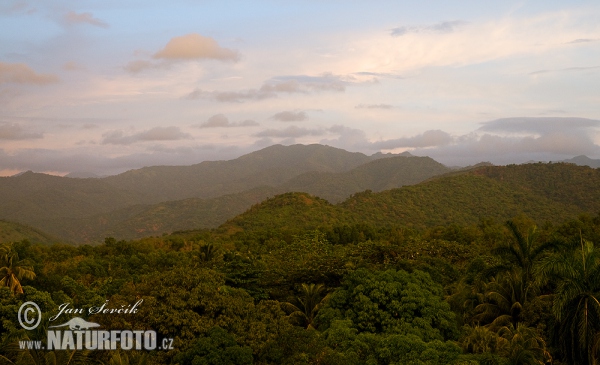 Sierra Maestra (C)