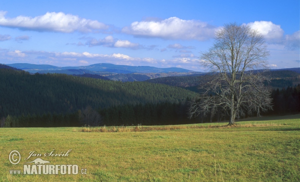 Šumava mountains (Sum)