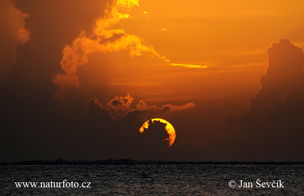 Sunce