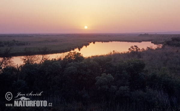 Tádzsikisztán