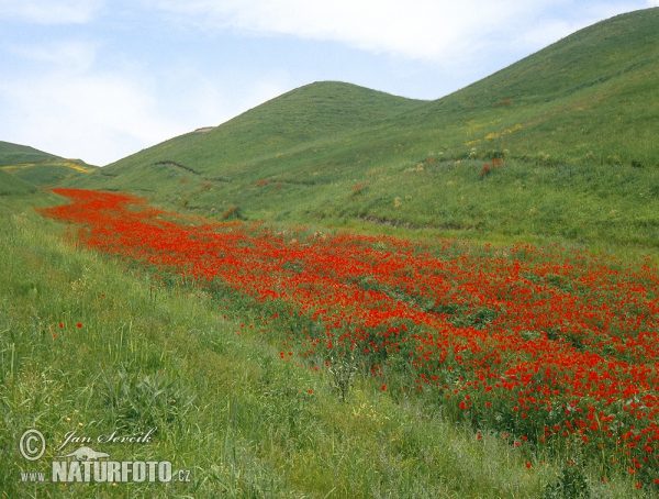 Tagikistan